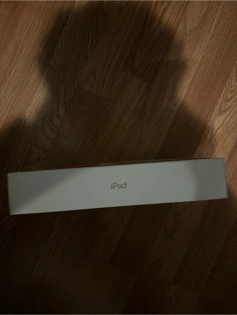 Silver Apple iPad A16 128GB Wi-fi